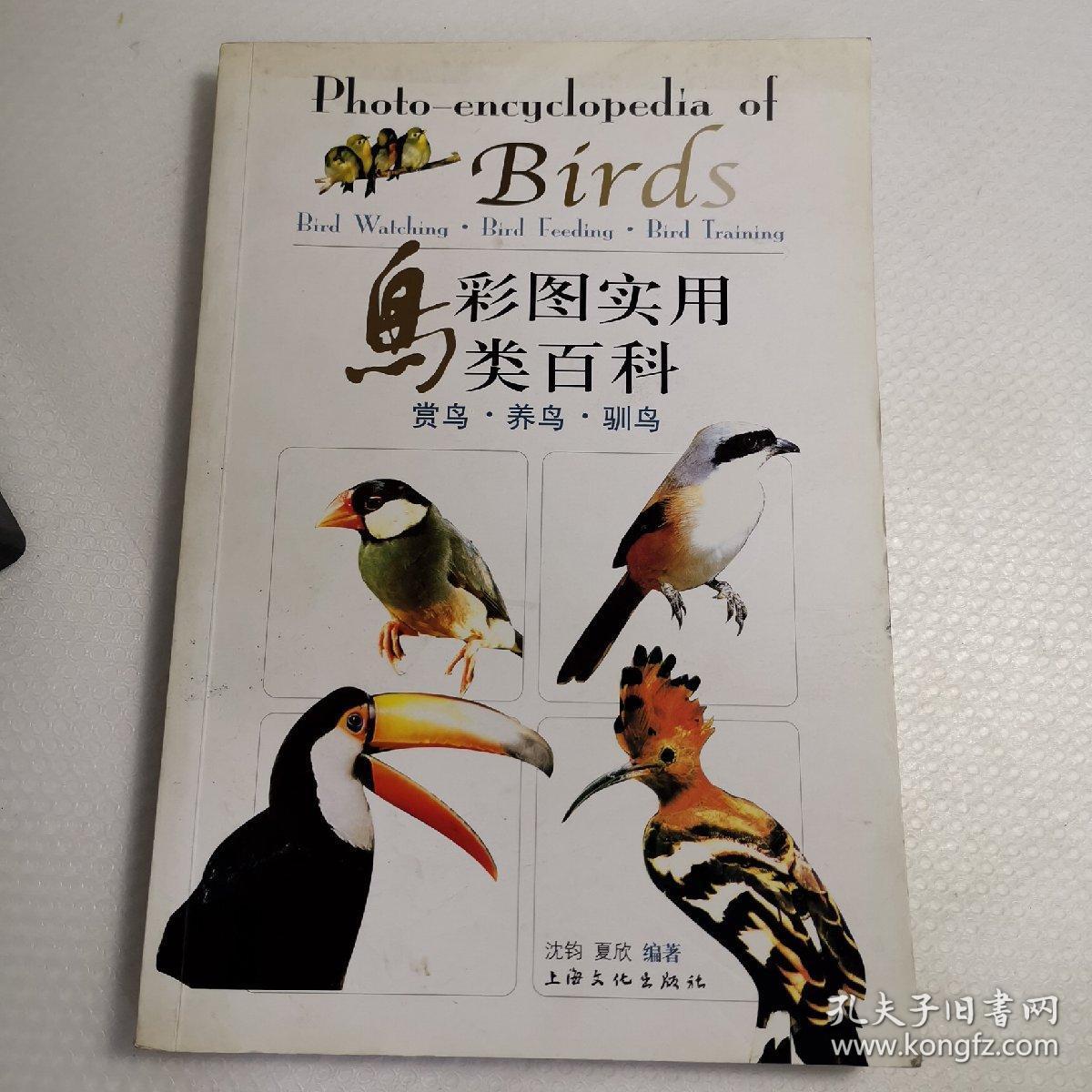 彩图实用鸟类百科:赏鸟养鸟驯鸟