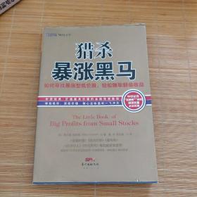 猎杀暴涨黑马：如何寻找暴涨型低价股，持有赚取翻倍收益