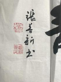 安徽著名书法家张善新书法《心宁身静》