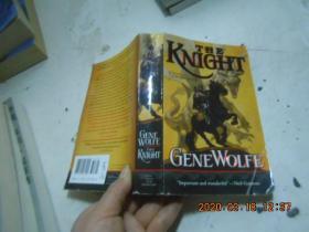 The Knight: Book One of The Wizard Knight