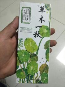 草木一秋