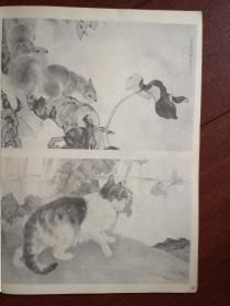 美术插页（单张），刘奎龄工笔动物画三幅《马》《松鼠》《猫》
