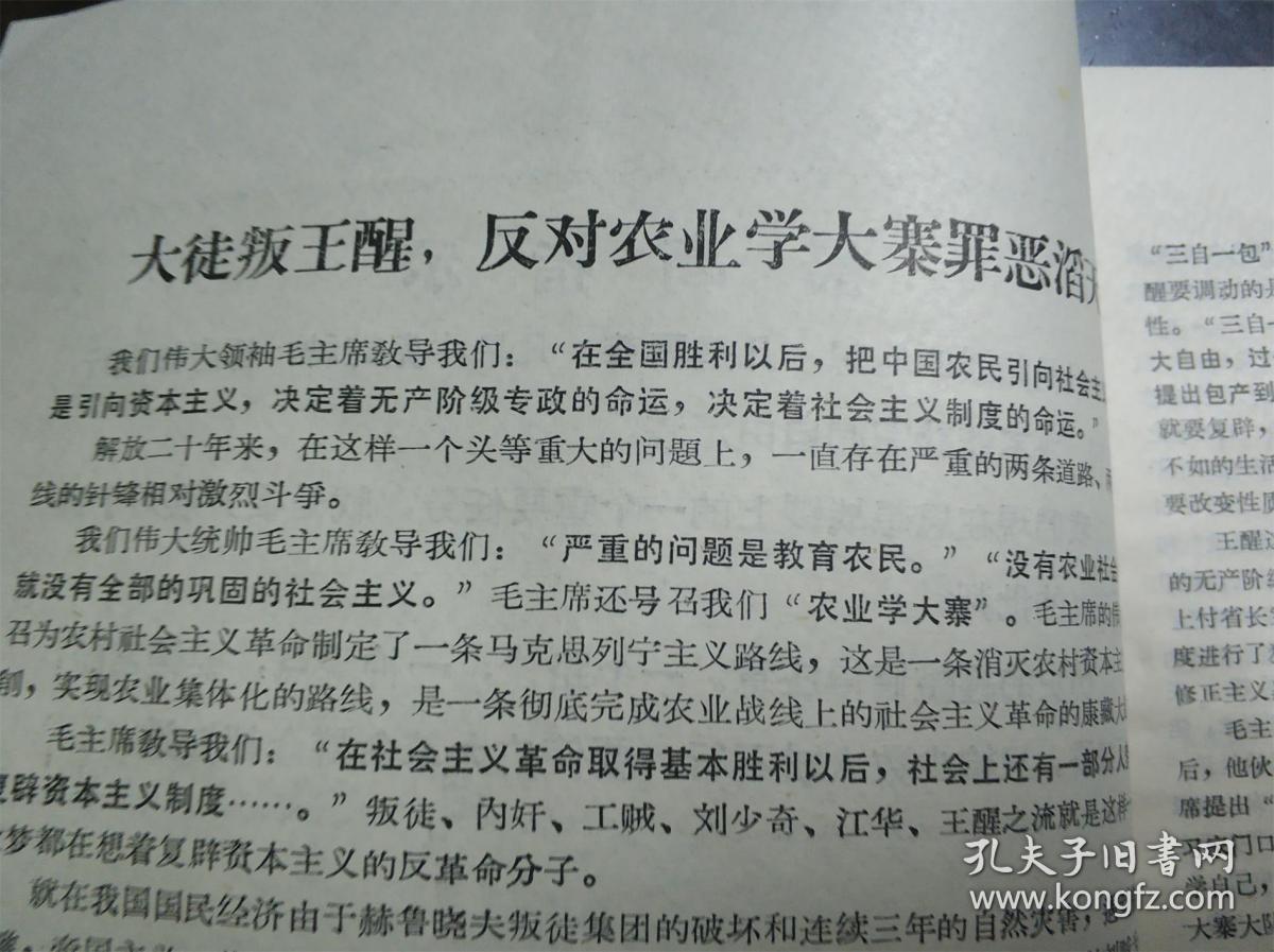 绍兴大批判 第十九期: 批判王醒等