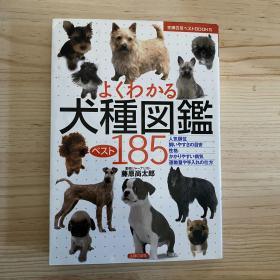 超人气犬种图鉴185