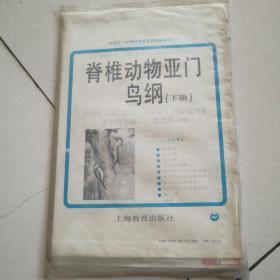 初级中学课本动物学教学挂图脊椎动物学亚门鸟纲下辑全9幅