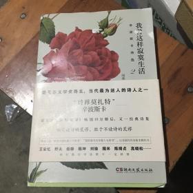 我曾这样寂寞生活：辛波斯卡诗选2