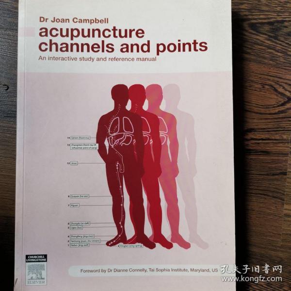 acupuncture channels  and points经络腧穴