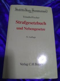 strafgesetzbuch und nebengesetz 刑法及附属刑法 德国刑法注释书Fischer