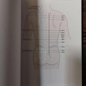 acupuncture channels  and points经络腧穴