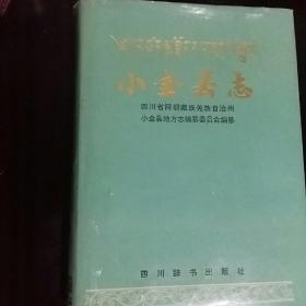 小金县志