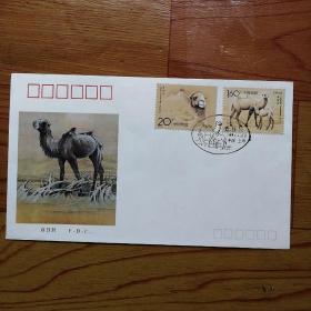 首日封 1993-3，野骆驼 特种邮票