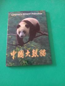 中国大熊猫:明信片