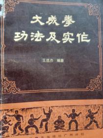 大成拳功法及实作