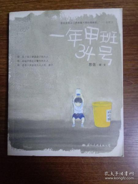 一年甲班34号：图文名家恩佐迄今最动人纸上电影作品