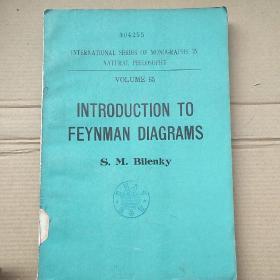 introduction to Feynman diagrams（P2204）