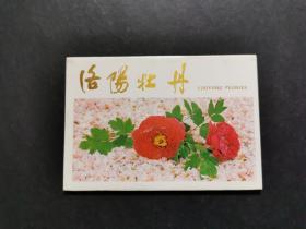 洛阳牡丹（明信片全十张）