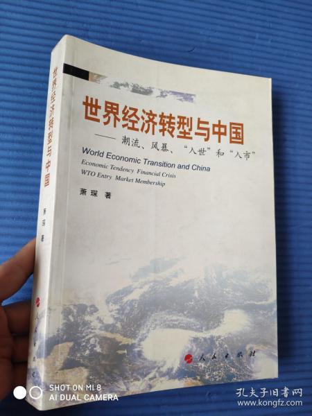 世界经济转型与中国：潮流、风暴、“入世”与“入市”