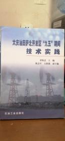 大庆油田萨北开发区“九五”期间技术实践