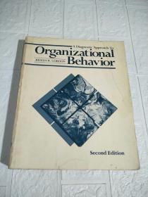 Organizational Behavior Second Edition （平装，16开，封页有破损，详情看图）