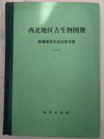 西北地区古生物图册新疆维吾尔自治区分册(一)(晚元古代一早古生代部分)