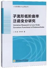 子流形低阶曲率泛函变分研究