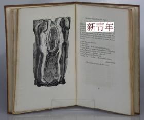 收藏版,限量，1930年金鸡出版《玛雅的戏剧》精美木刻版画插图。