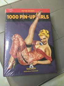 塑封 1000位手绘招贴画女郎 绝对值得收藏 1000pin up girls