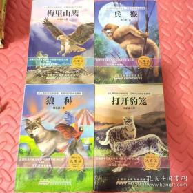 动物小说大王沈石溪自选精品集：兵猴（升级版）