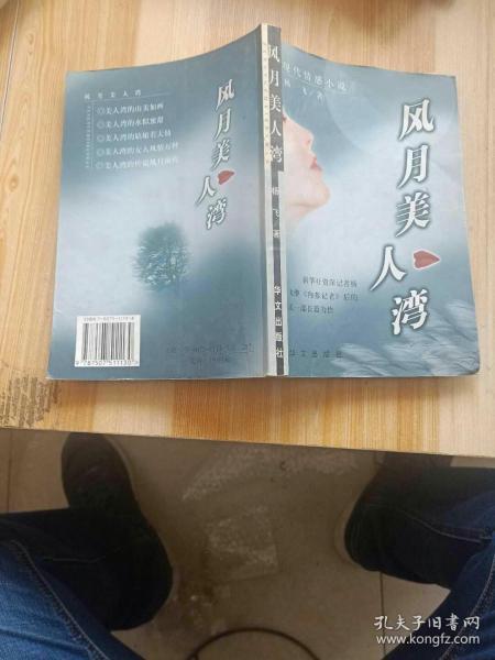 风月美人湾:现代情感小说