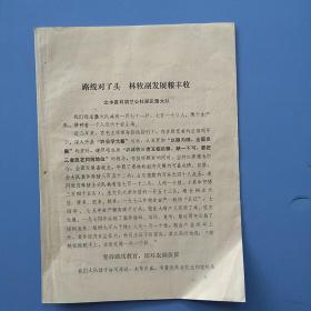《路线对了头   林牧副发展粮丰收》