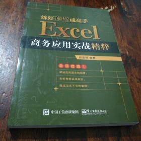 练好套路成高手：Excel商务应用实战精粹