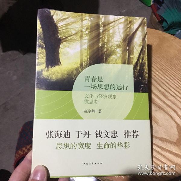 青春是一场思想的远行 : 文化与经济现象微思考