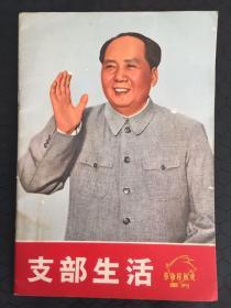 支部生活革命样板戏画刊