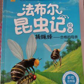 法布尔昆虫记绘本 蜜蜂：巢房中的姐妹花（彩绘美图版）