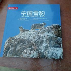中国雪豹