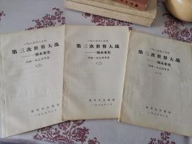 一九八五年八月的第三次世界大战—一部未来史（全三册，大字版）