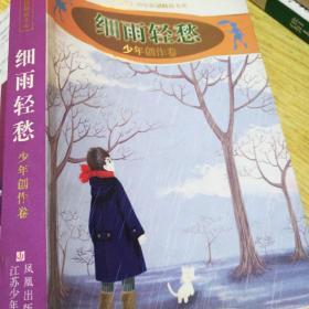 细雨轻愁:少年创作卷