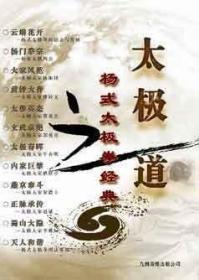 杨式太极拳经典 太极之道  12DVD