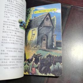 解谜侦探俱乐部《红牌罚下.作案现场.失踪的斑点狗》明天出版社