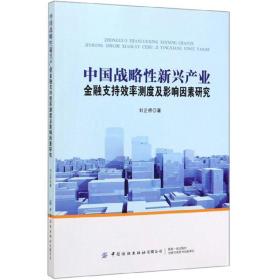 中国战略性新兴产业金融支持效率测度及影响因素研究