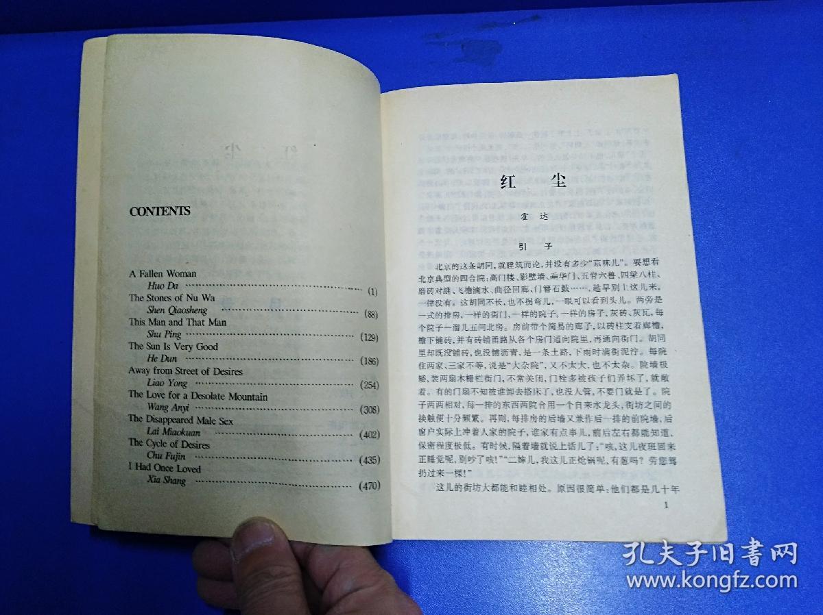 中国当代情爱伦理作品书系：太阳很好 （32开）