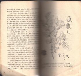 《枣树生物学特征》【1959年一版一印，品如图】