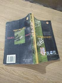 尋找康巴.