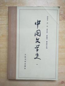 中国文学史 （一）