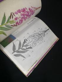 花刺绣第4册 《山の花》