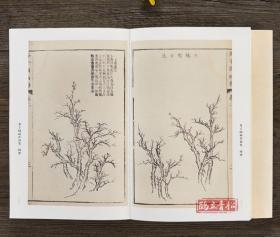 【正版新书】芥子园画谱画传 康熙彩色原大版 山水树石谱  兰竹梅菊谱 草虫翎毛花卉谱 全3册