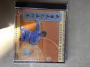 杨群力 武当太乙五行拳 2VCD