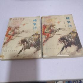 新编传统评书 杨家将上下册