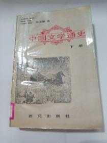 中国文学通史 下册