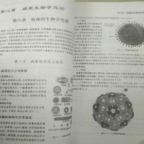 病原生物与免疫学